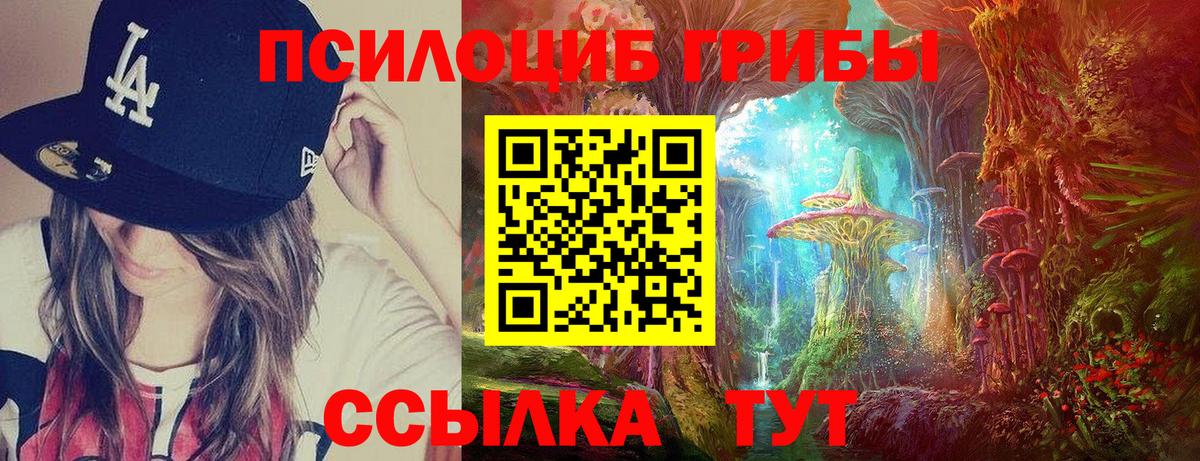 Псилоцибиновые грибы Cubensis  Вход с VPN  Кашира  Галлюциногенные грибы Magic Shrooms 